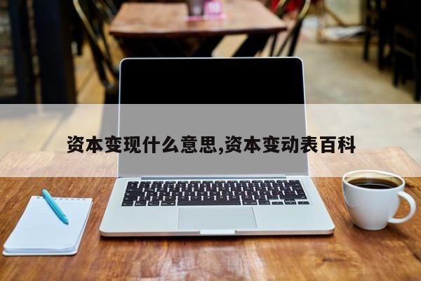 资本变现什么意思,资本变动表百科