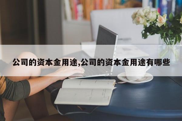 公司的资本金用途,公司的资本金用途有哪些